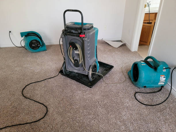 Best Water damage cleanup near me  in Kelly Ridge, CA