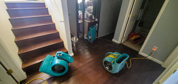 Best Water damage restoration near me  in Kelly Ridge, CA