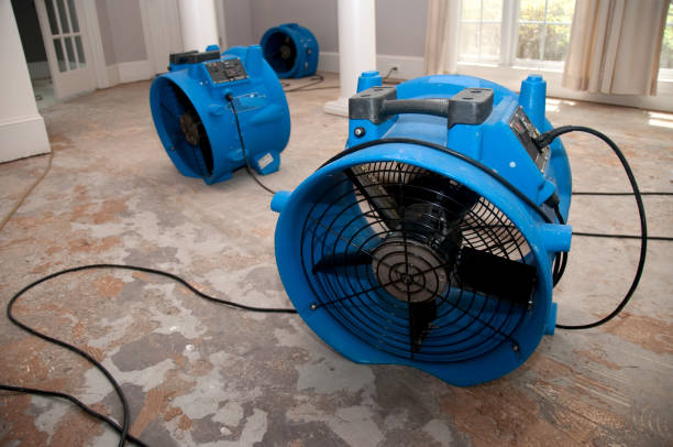  Kelly Ridge, CA Water damage restoration Pros
