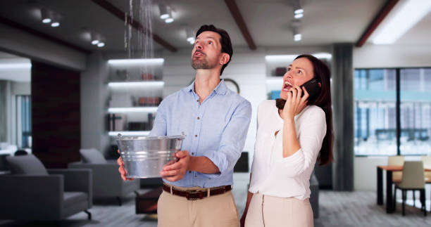 Water damage restoration mold remediation in Kelly Ridge, CA