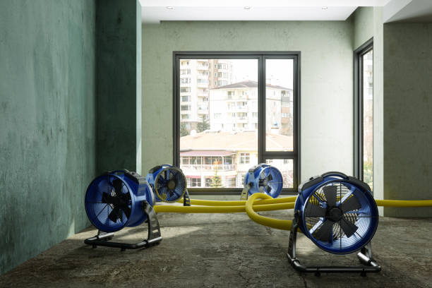 Best Sewage cleanup and water damage restoration  in Kelly Ridge, CA